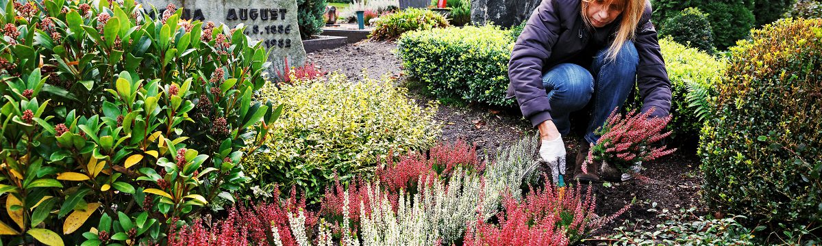 Grabpfleger & Friedhofsgärtner in Ginsheim-Gustavsburg